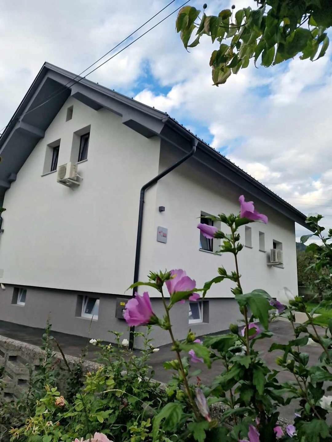Aparthouse Jana Breg Apartment